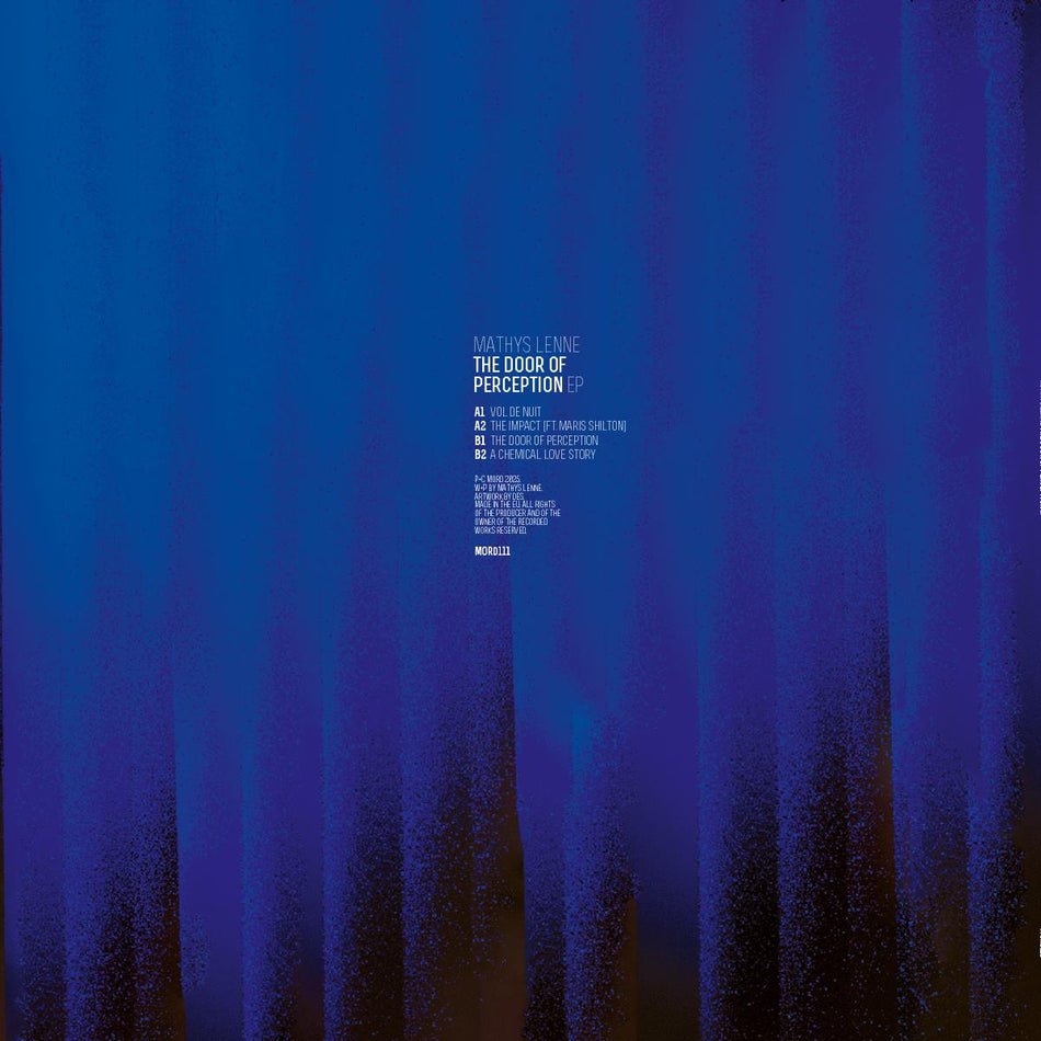 Mathys Lenne - The Door Of Perception EP 12"