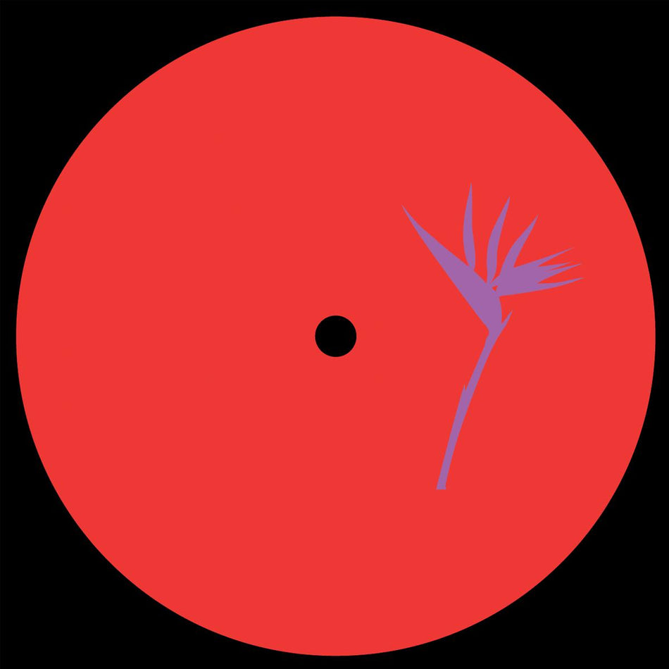 RWN - Dancing in Circles EP [vinyl only] 12"